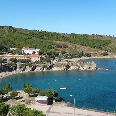 Agreable Studio A 250M De La Plage Avec Loggia, Animaux Acceptes Et Parking Privatif - Fr-1-309-75 Banyuls-sur-Mer Exterior photo