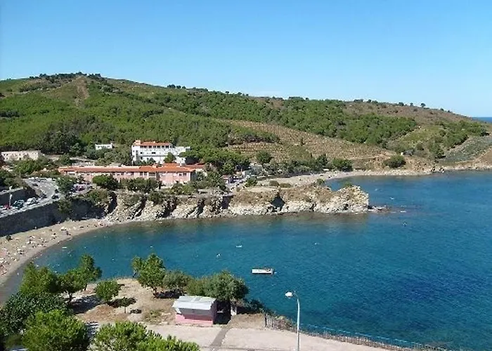 Agreable Studio A 250M De La Plage Avec Loggia, Animaux Acceptes Et Parking Privatif - Fr-1-309-75